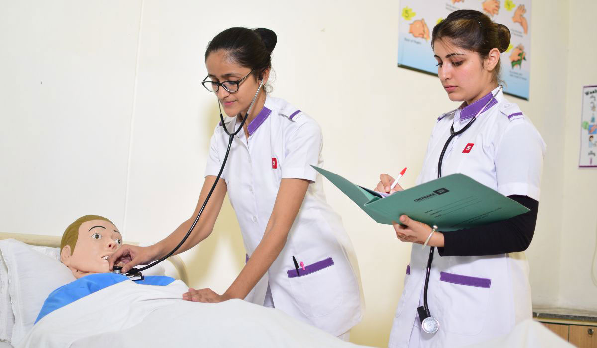 pursuing bsc nursing course